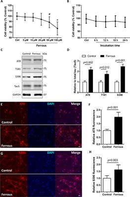 Iron Deposition Leads to Hyperphosphorylation of Tau and Disruption of Insulin Signaling